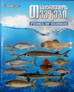 დამხმარე -  - საქართველოს თევზები / Fishes of Georgia