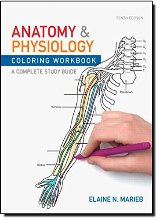 Anatomy Physiology Coloring Workbook: A Complete Study Guide 