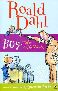 მალე Boy: Tales of Childhood (For ages 6-12)