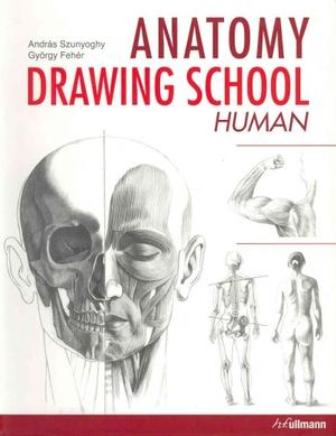 Anatomy Drawing School Human Body