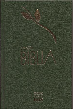 Santa Biblia (ბიბლია ესპანურ ენაზე)