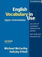 English Vocabulary in Use Upper-Intermediate 