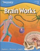 Brain Works #14