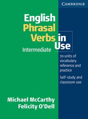 English Vocabulary In Use Pre-Intermediate And Intermediate 