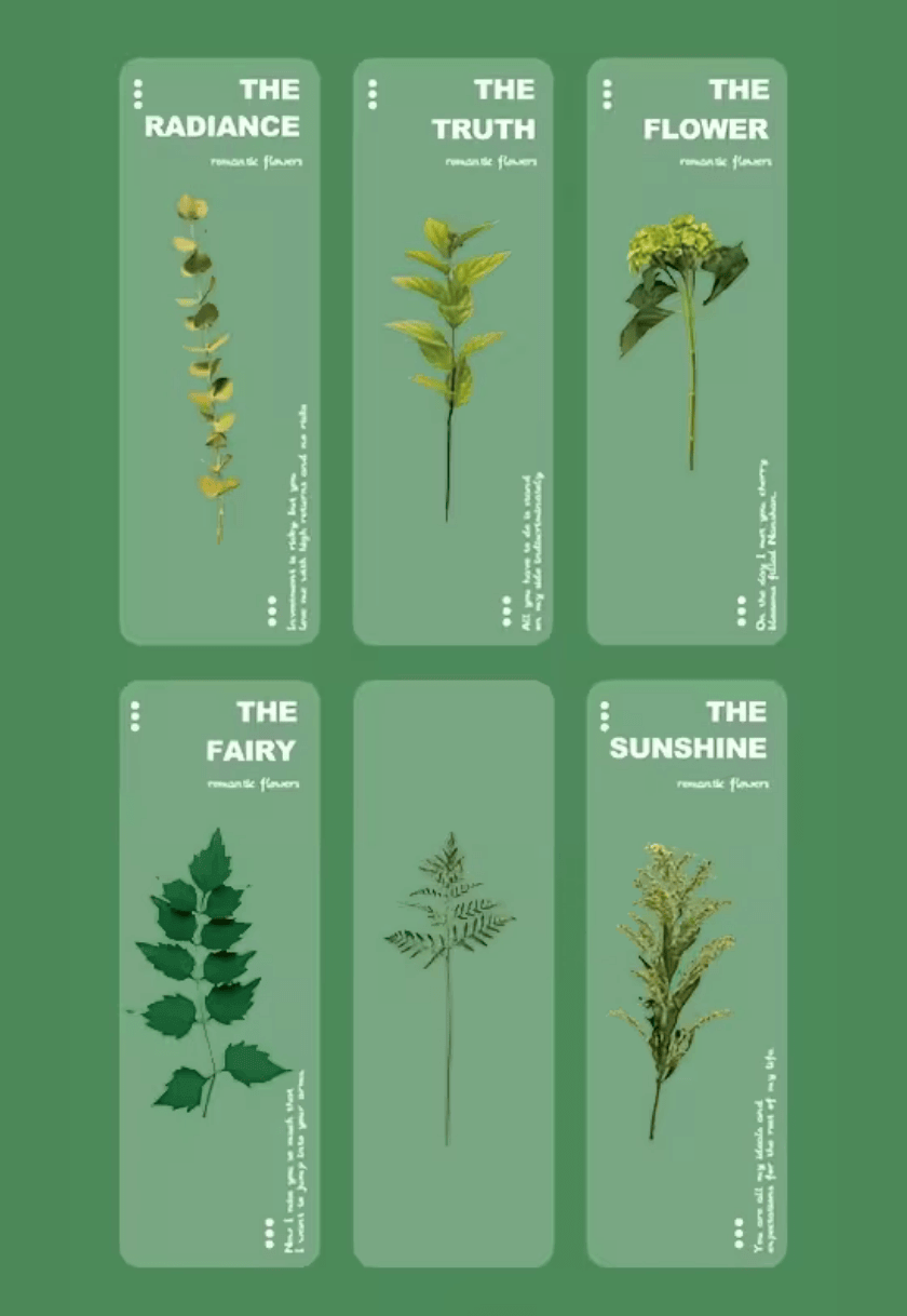 სანიშნე წიგნის - ჰერბარიუმი / Floral Bookmark